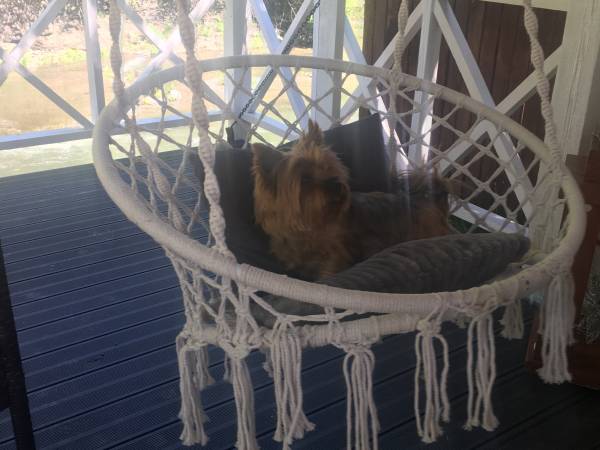 Apartamenty i Pokoje Gościnne u Staszelów