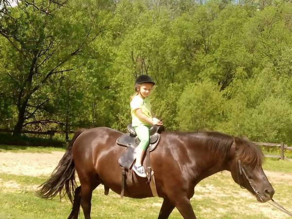 Noclegi pod Jawornikami