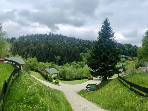 Domki przy lesie 300m od jeziora