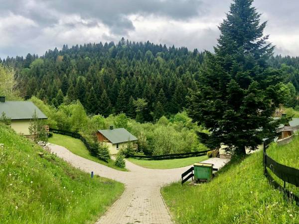 Domki przy lesie 300m od jeziora