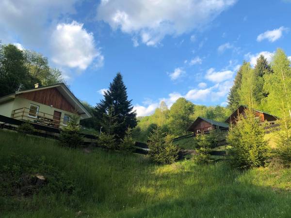 Domki przy lesie 300m od jeziora