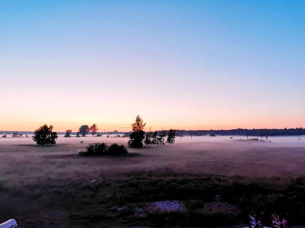 Widok z okien - Apartament ,,Dzikość Północy''