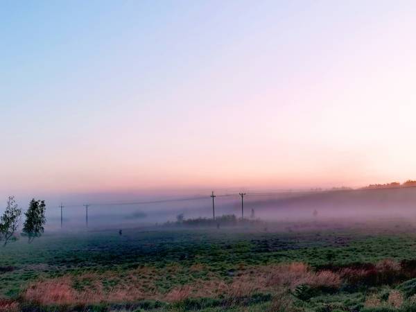 Widok z okien - Apartament ,,Dzikość Północy''