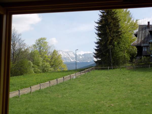 Apartamenty Forster House