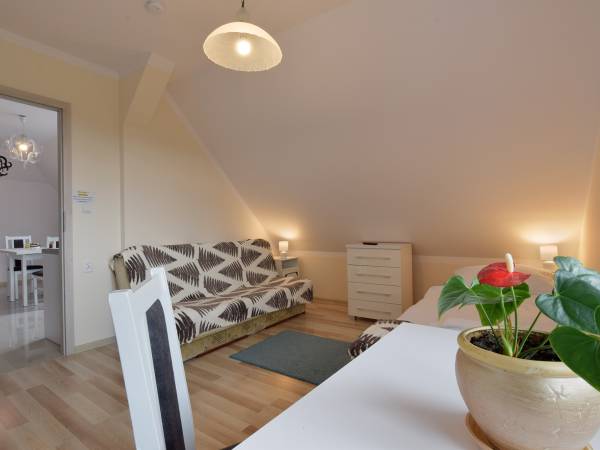 Noclegi pod Magnolią