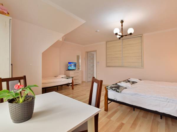 Noclegi pod Magnolią