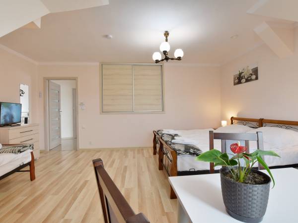 Noclegi pod Magnolią