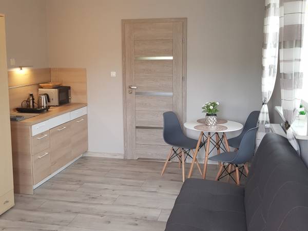 pokój z aneksem kuchennym