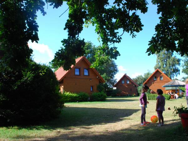 Dużo zielonego terenu do zabaw.