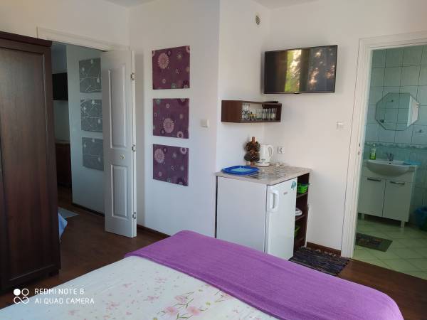 Pokój studio, nr 1 z małym aneksem