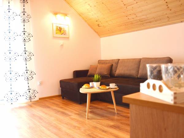 salon w apartamencie 3