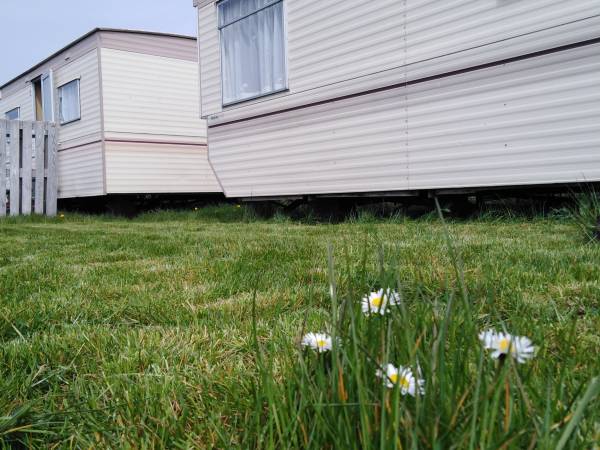 MarCITY GĄSKI Domki Holenderskie