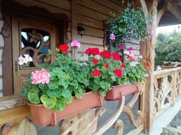 Dom Gościnny Bierwiono