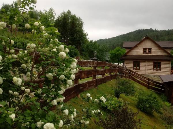 Dom Gościnny Bierwiono