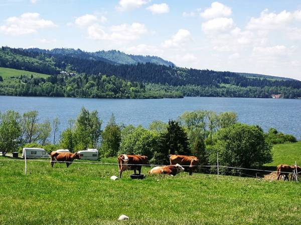 Okolica obiektu Tawerna Vito