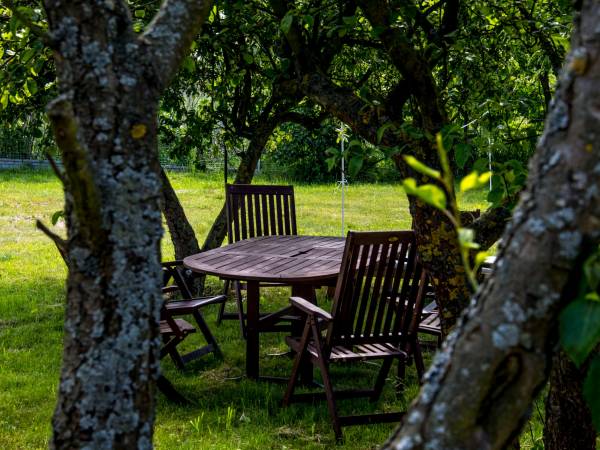 Dom Wczasowy Złota Rybka 