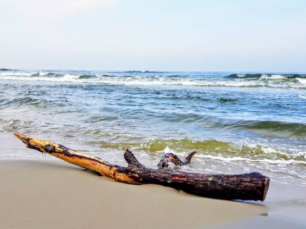 Dom Wczasowy Złota Rybka 