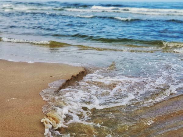 Dom Wczasowy Złota Rybka 