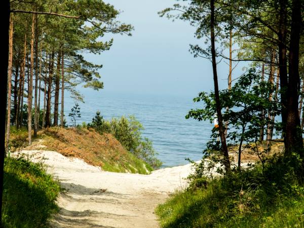 Dom Wczasowy Złota Rybka 