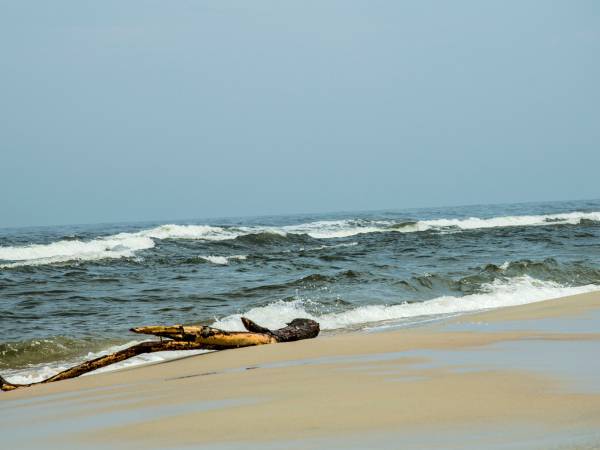 Dom Wczasowy Złota Rybka 