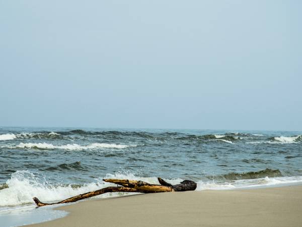 Dom Wczasowy Złota Rybka 