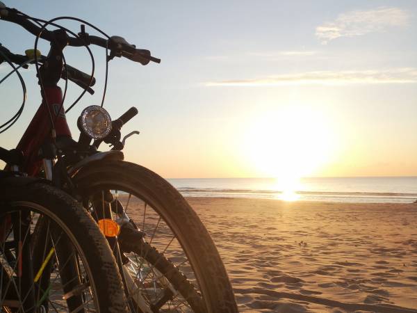 Dom Wczasowy Złota Rybka 