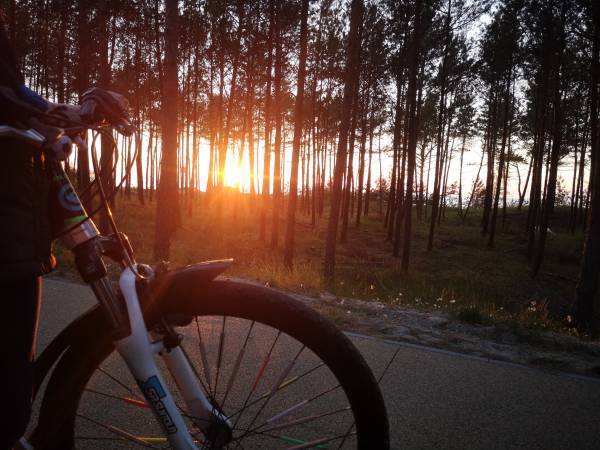 Dom Wczasowy Złota Rybka 