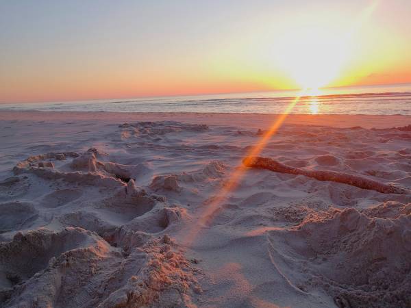 Dom Wczasowy Złota Rybka 