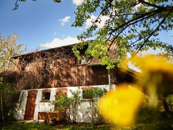 Siedlisko pod Dębem