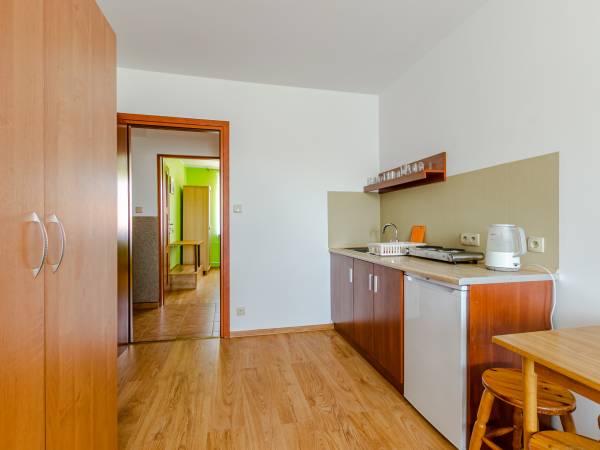 Studio pokój z aneksem kuchennym