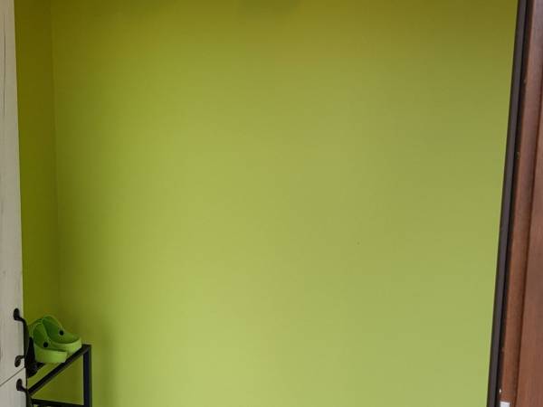 Zielono w Dzikiej Konwalii