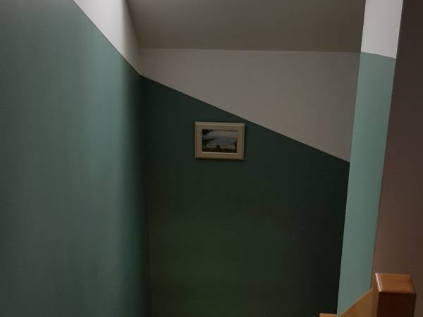 Obrazki z naturą Lasówki