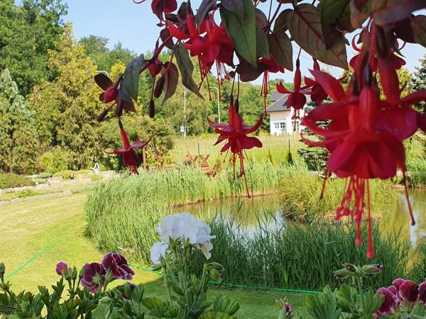 Pokoje Gościnne LAZUR