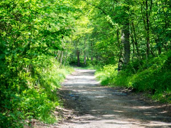 Dom Wczasowy Złota Rybka 