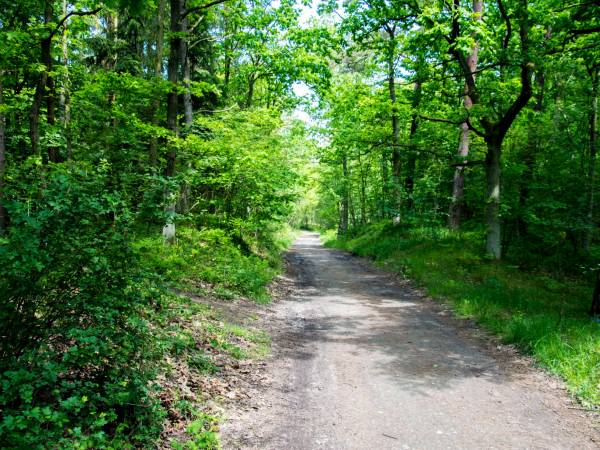 Dom Wczasowy Złota Rybka 