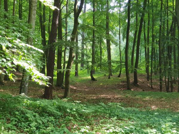 Dom Wczasowy Złota Rybka 