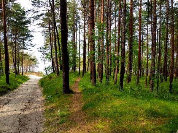 Dom Wczasowy Złota Rybka 