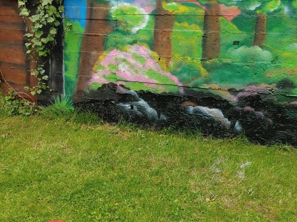 Apartamencik Pod Krokusem