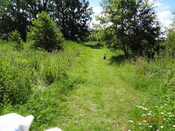 Prywatne przejście na plażę