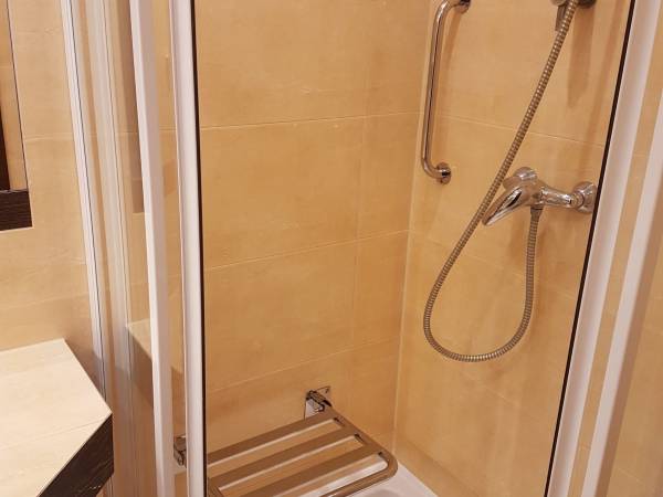 dla osób z niepełnosprawnościami