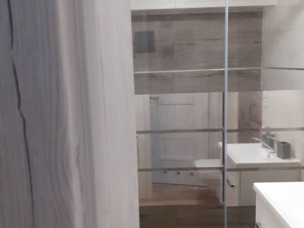 Łazienka w pokoju typu studio .