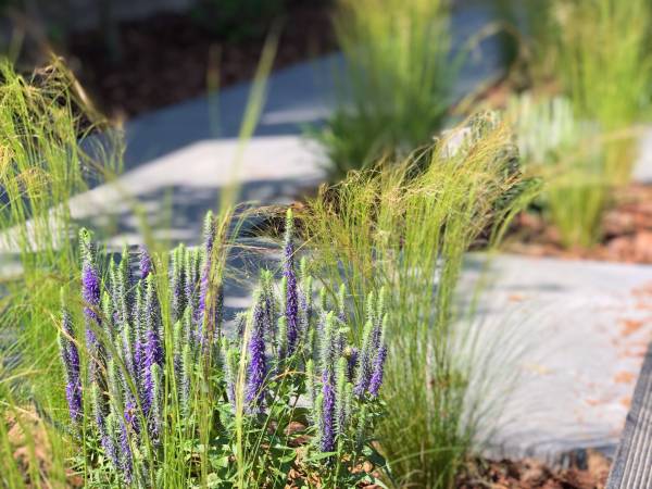 Forest House Pobierowo