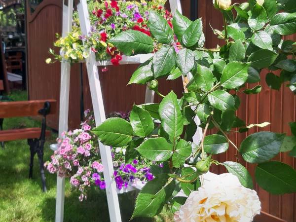 Anita Komfortowe Pokoje