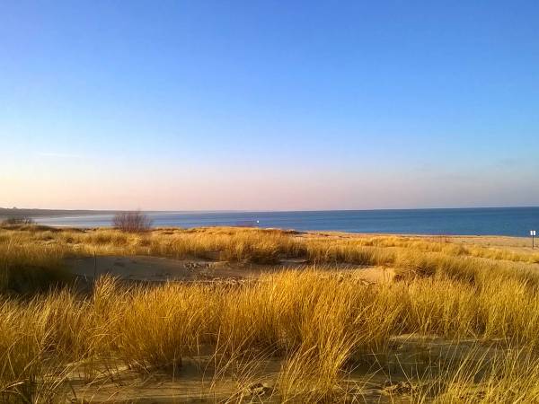 Plaża na Wyspie Sobieszewskiej