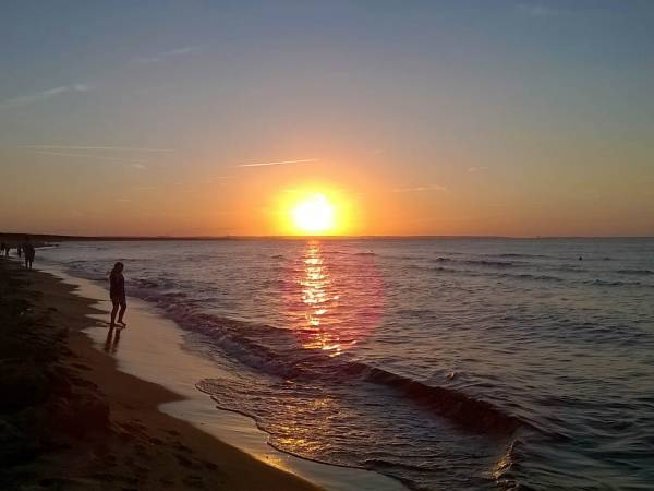 Zachód słońca na Wyspie Sobieszewskiej