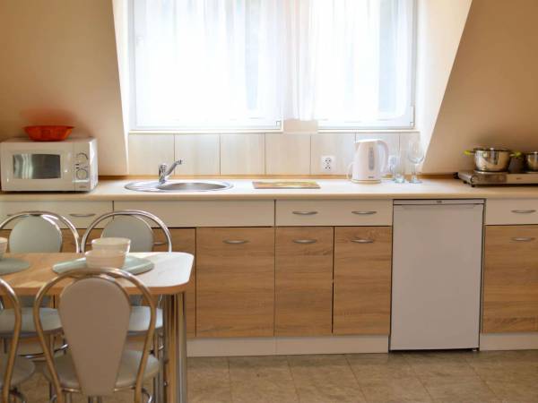 Apartament dwupokojowy nr 1 - Kuchnia