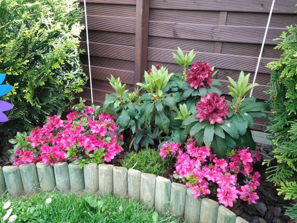 ogródek Willa Lenka w Rewalu