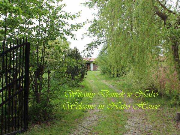 Domek w NABO