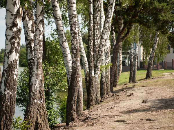 Kapitanka apartamenty