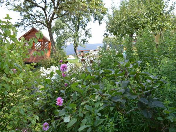 Agroturystyka SKAŁKA